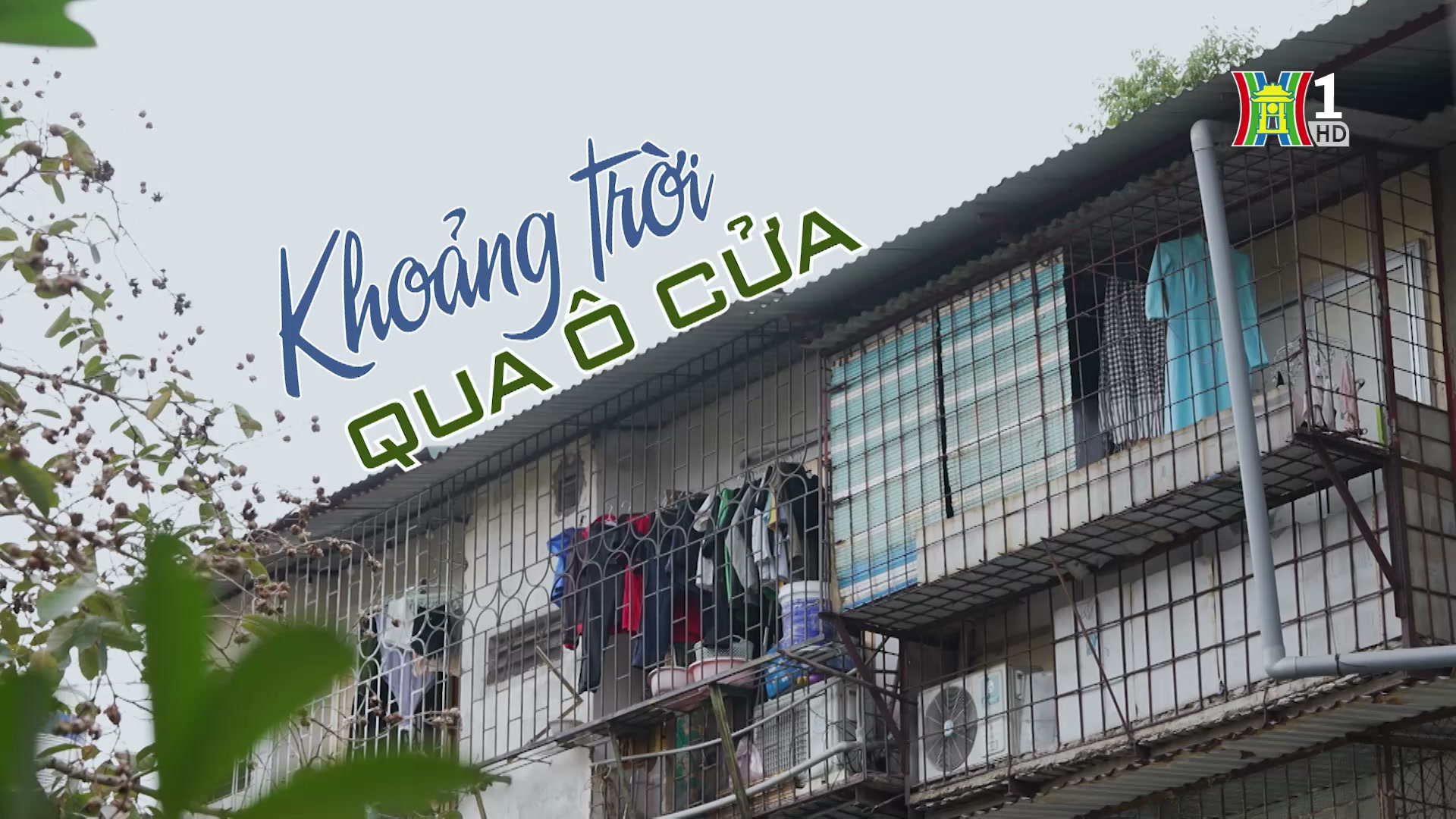 Khoảng trời qua ô cửa | Cuộc sống thành thị | 07/12/2024